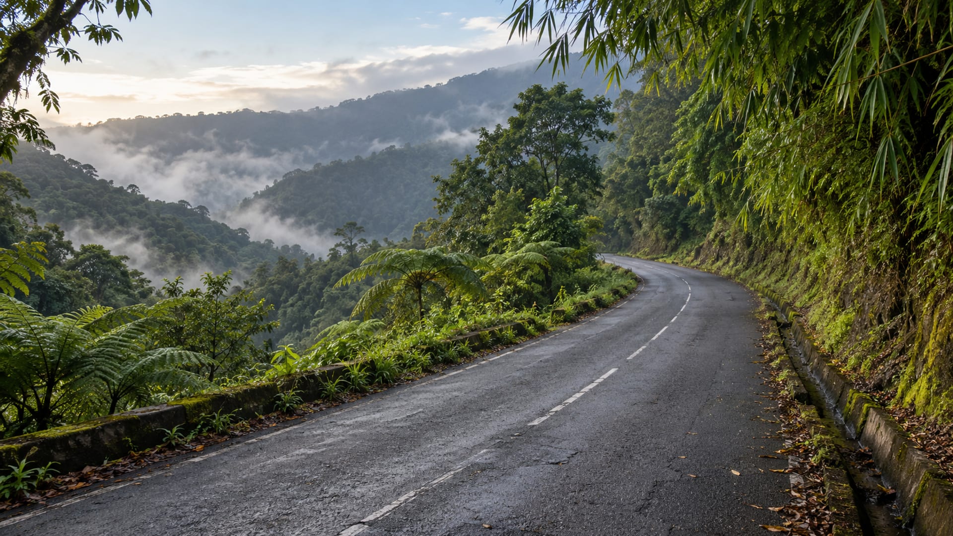 A mountain road climbing through green hills in Jamaica at dawn