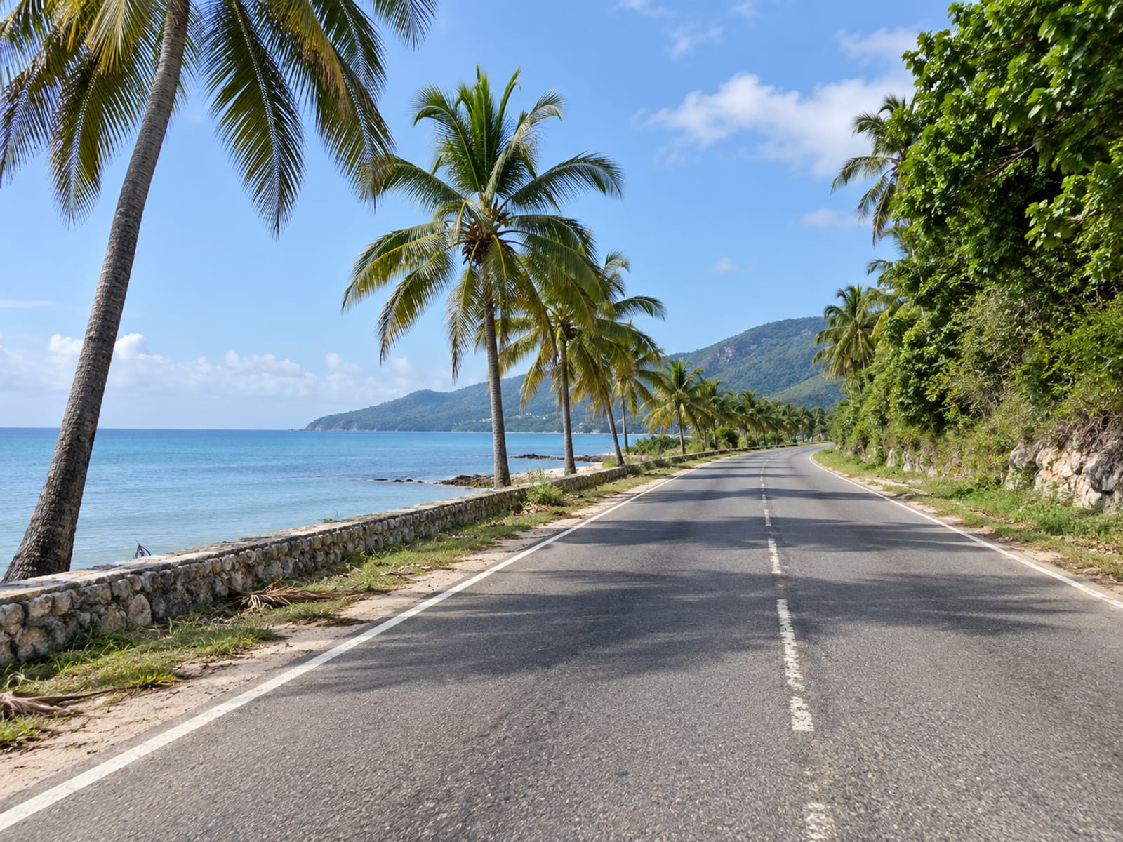 A coastal road with palm trees beside the sea