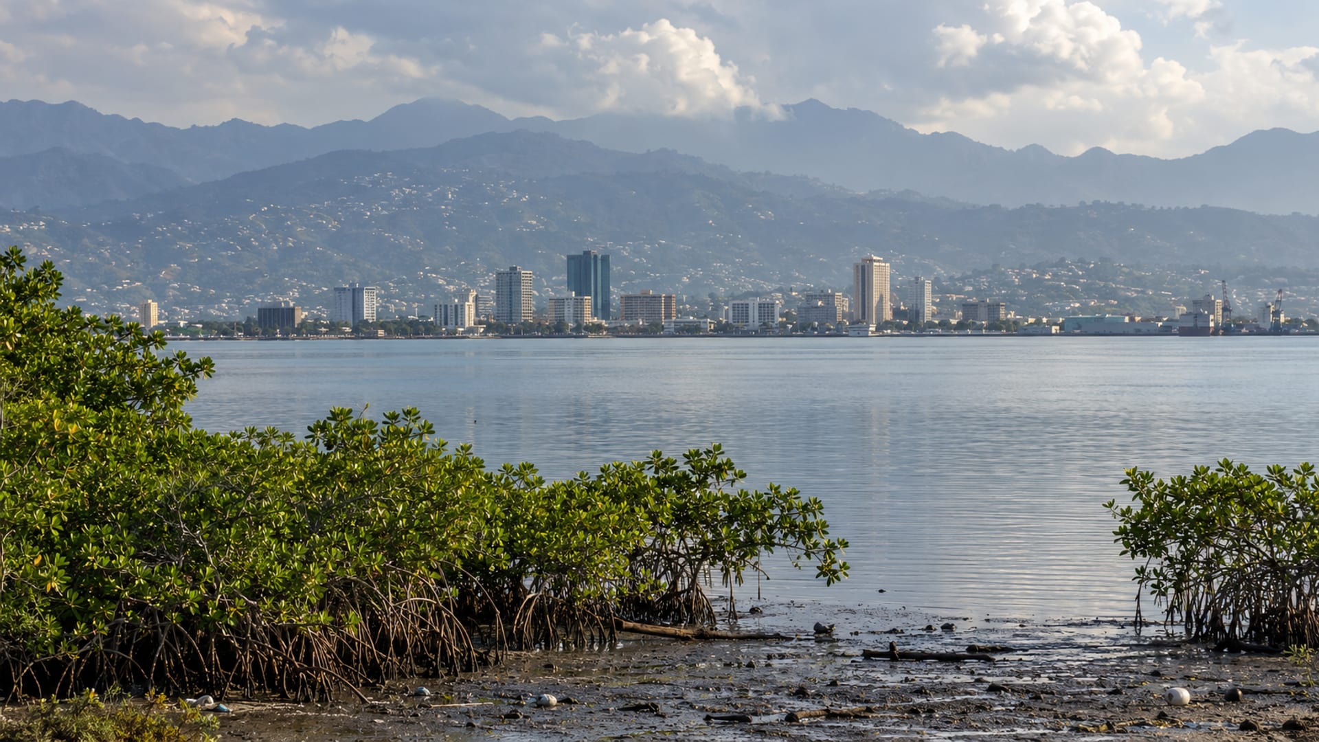 Blue-hazed mountains rising behind a coastal capital seen from the harbour at dusk