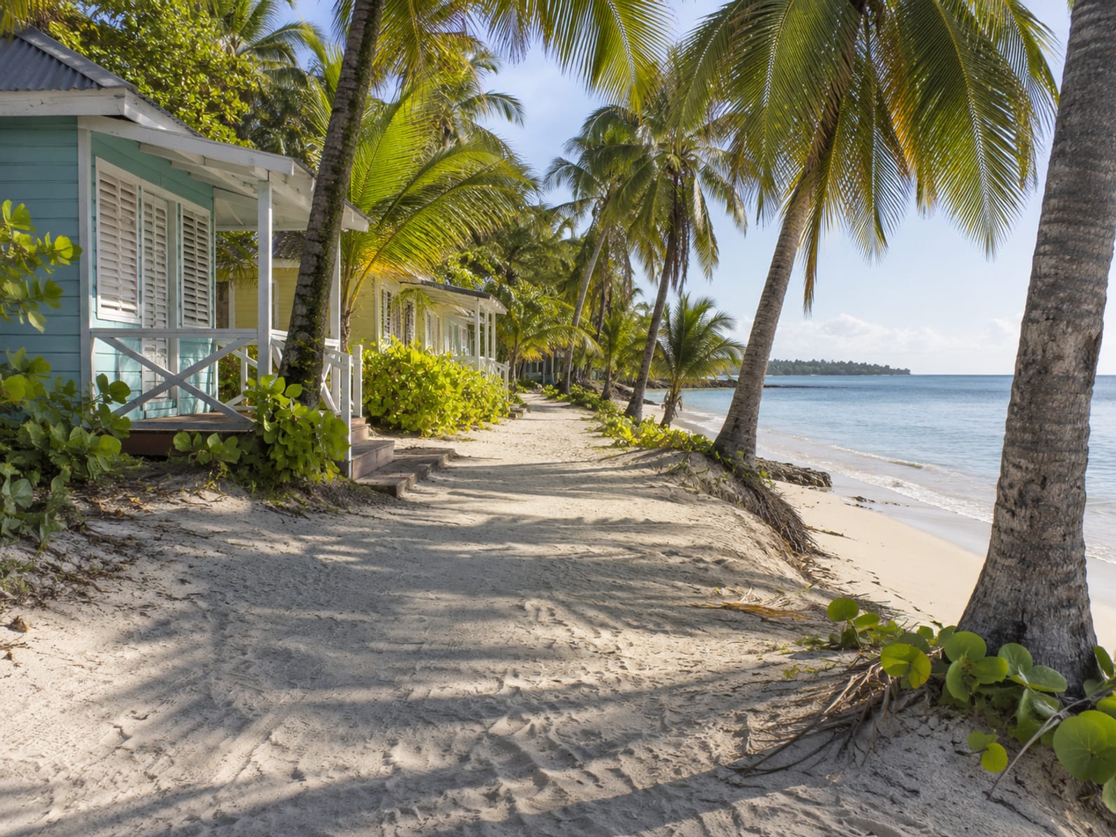 A sandy beach path with palm trees and small beachfront buildings