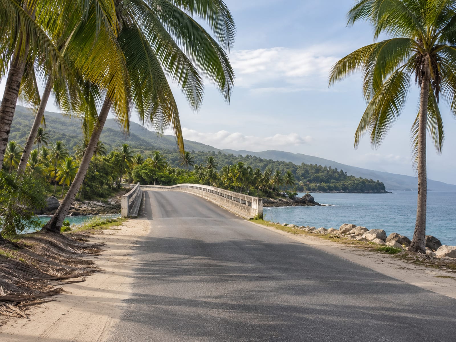 A coastal road lined with palm trees near a bridge