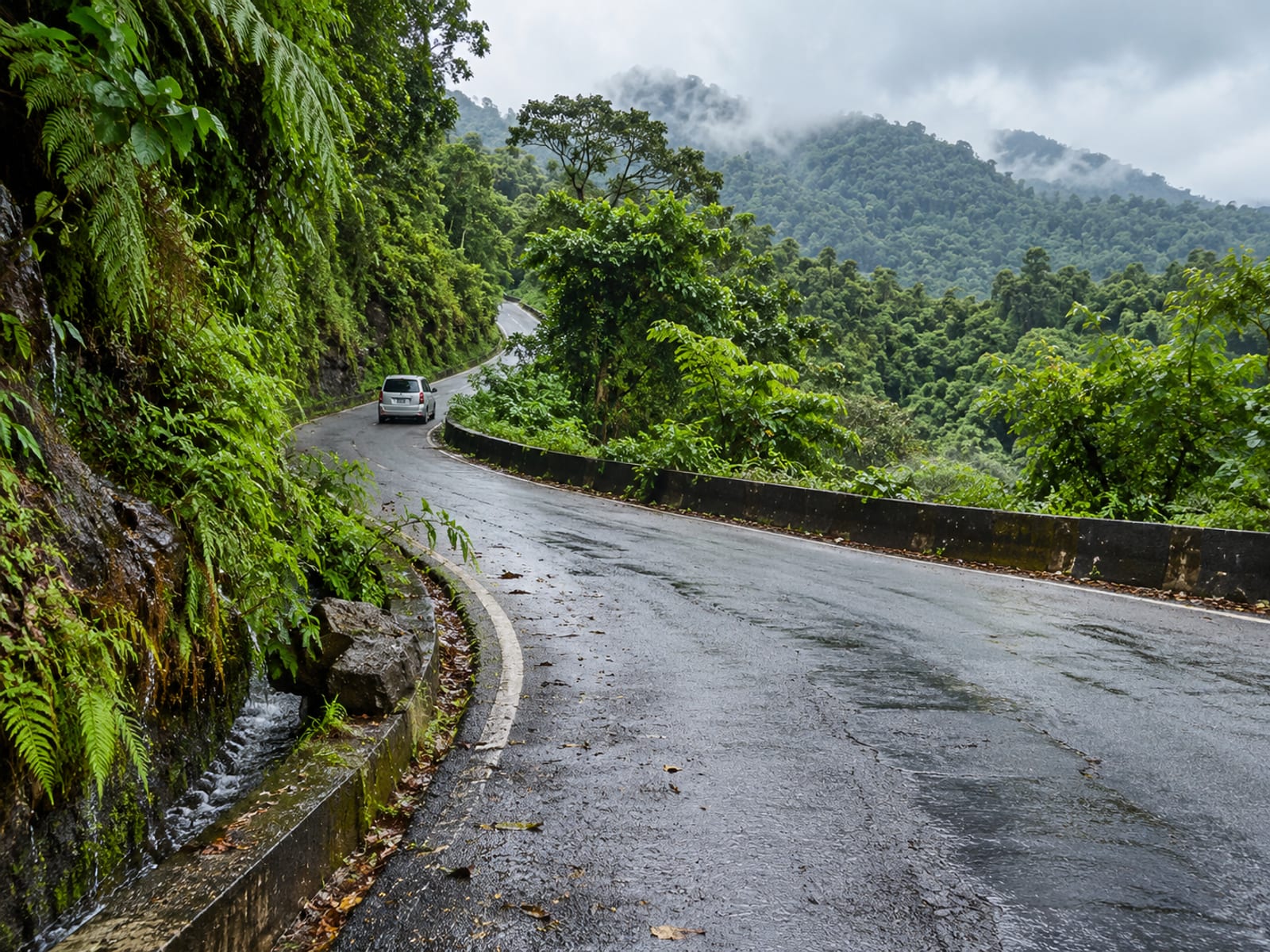 A winding road through green hills in Portland parish