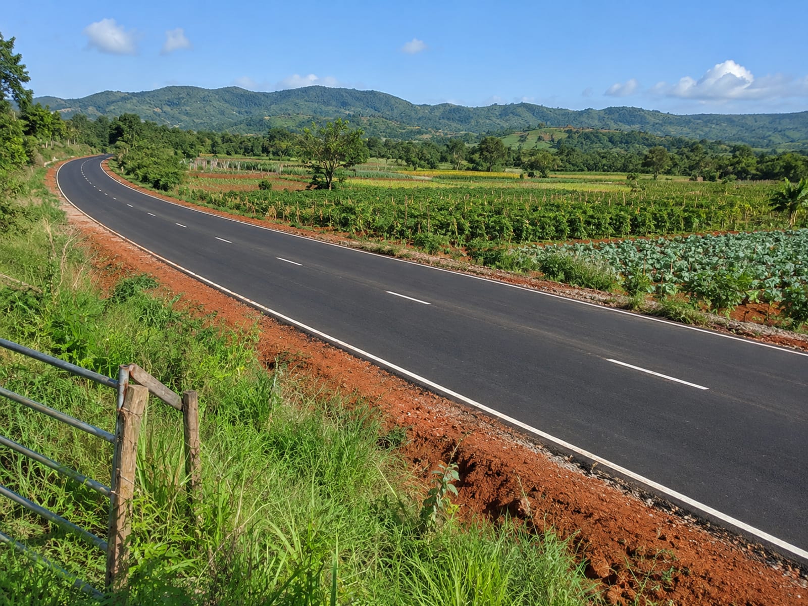 A repaired road running through rural St. Elizabeth