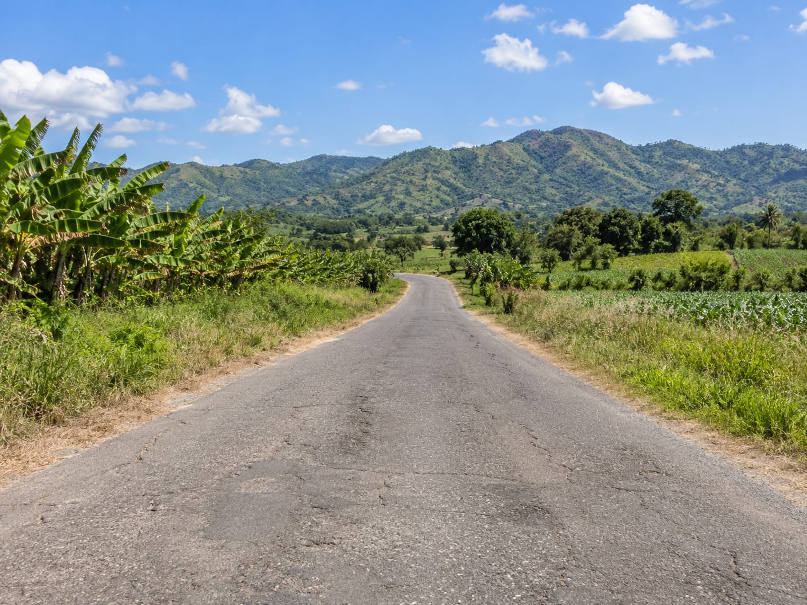 A quiet rural road through farmland in south-western Jamaica