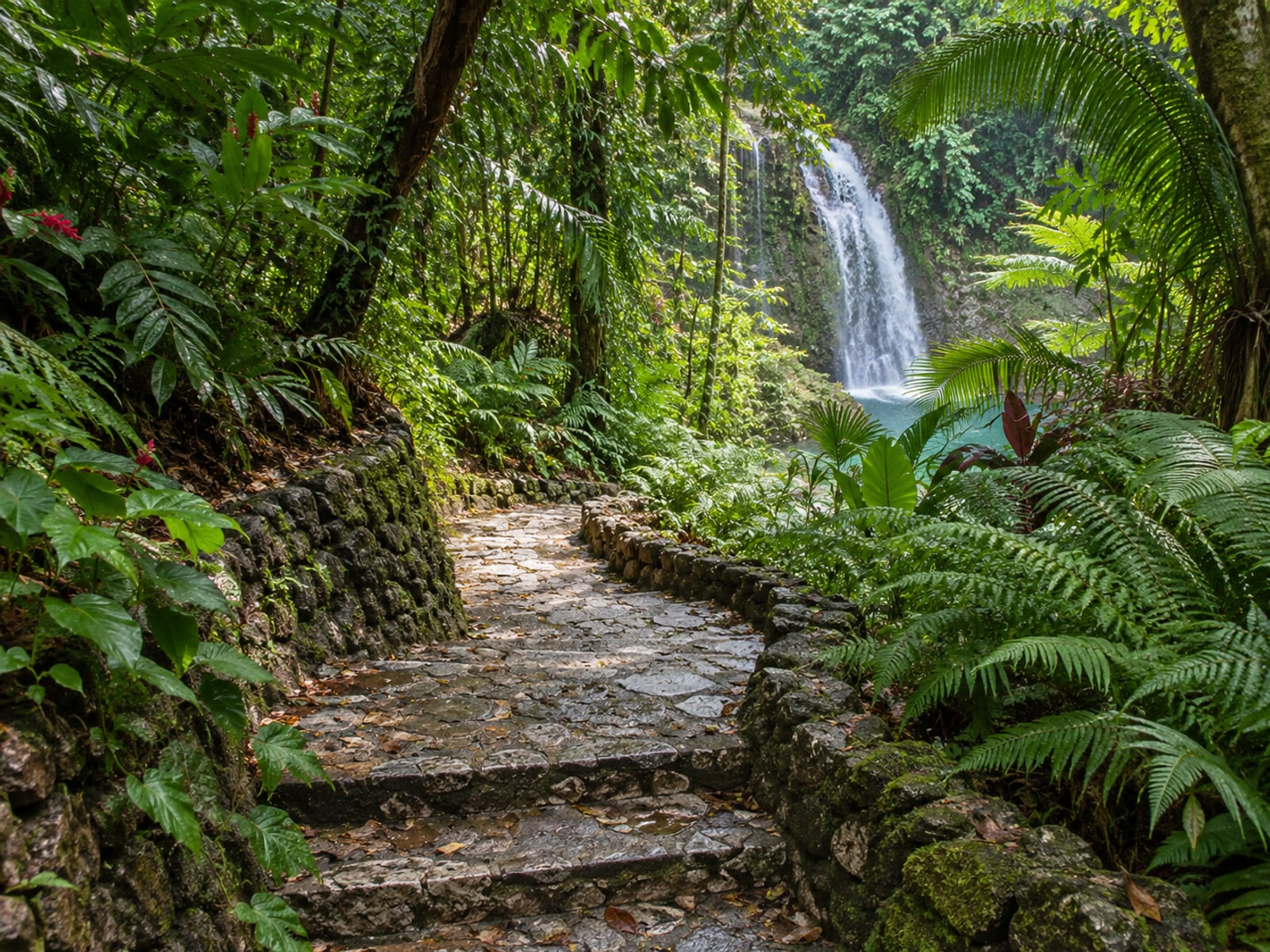 A tropical garden path leading toward a waterfall