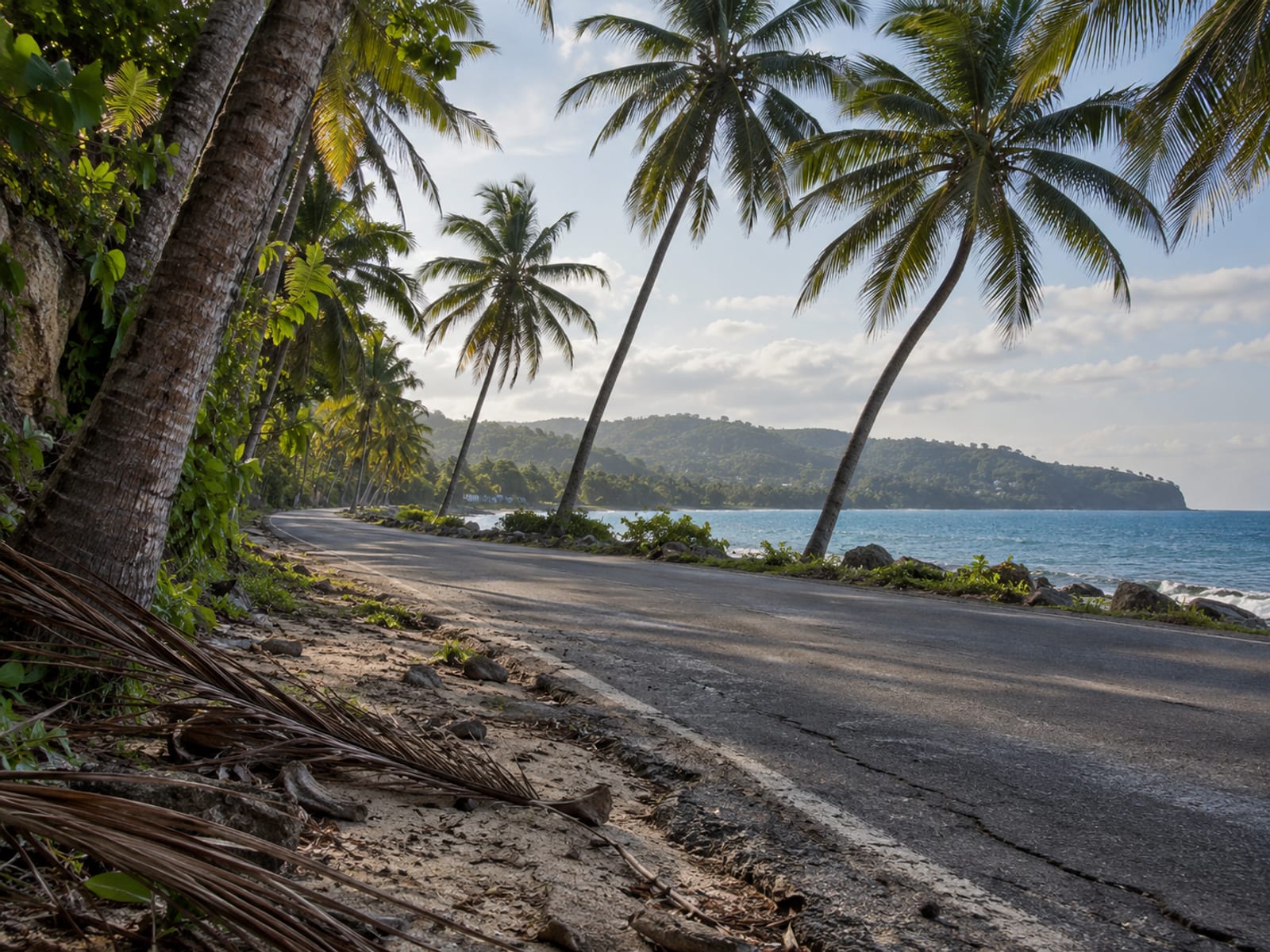 A coastal road near Ocho Rios with palm trees beside the sea