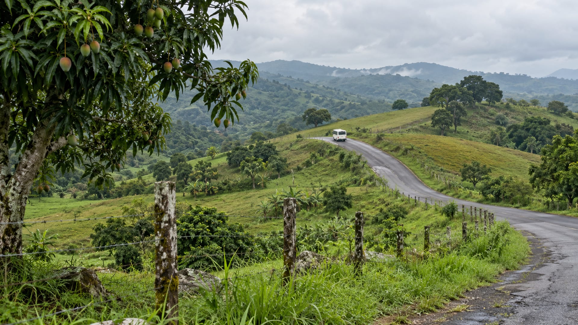 An upland road winding through rolling green hills and pastures