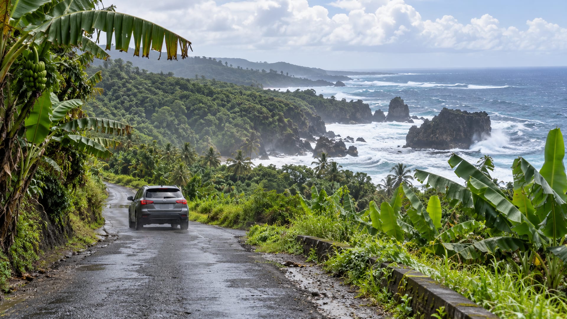 A road through banana groves down to a rugged coast
